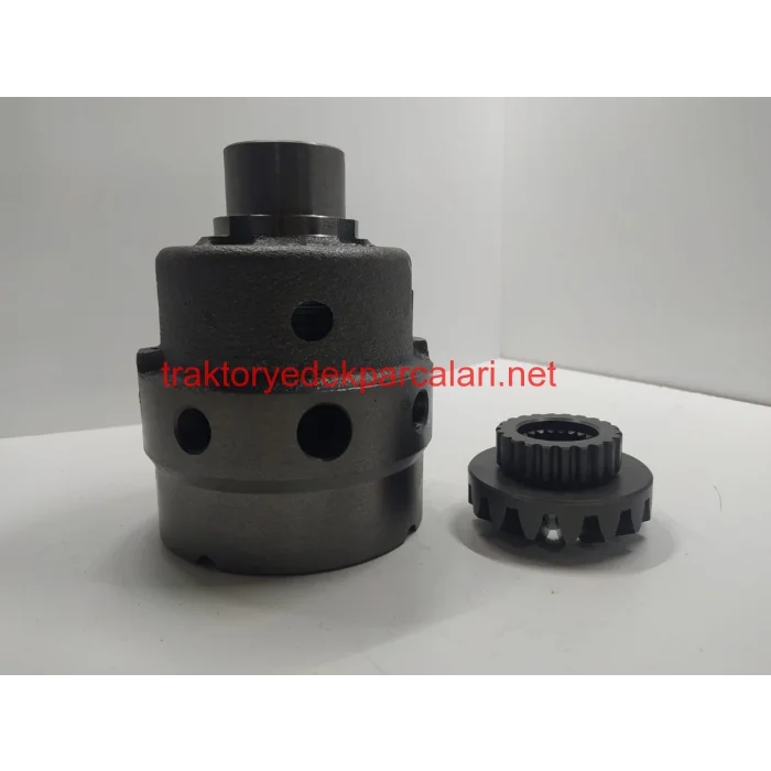 DİFERANSİYEL KOMPLESİ HATTAT