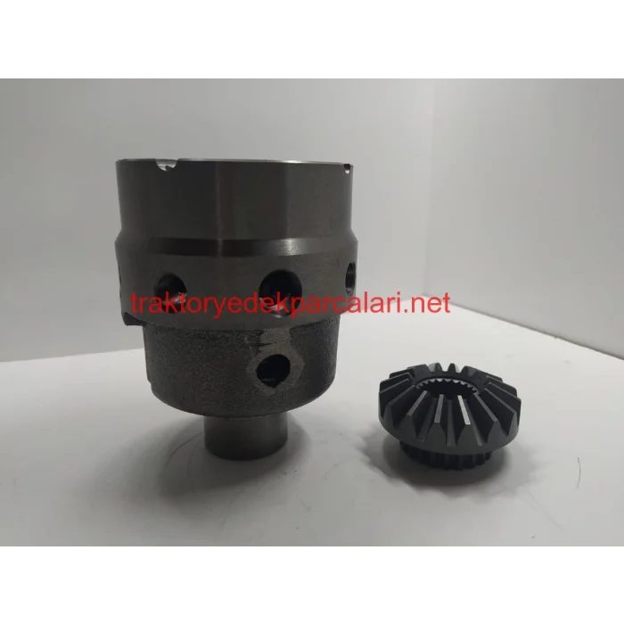 DİFERANSİYEL KOMPLESİ HATTAT