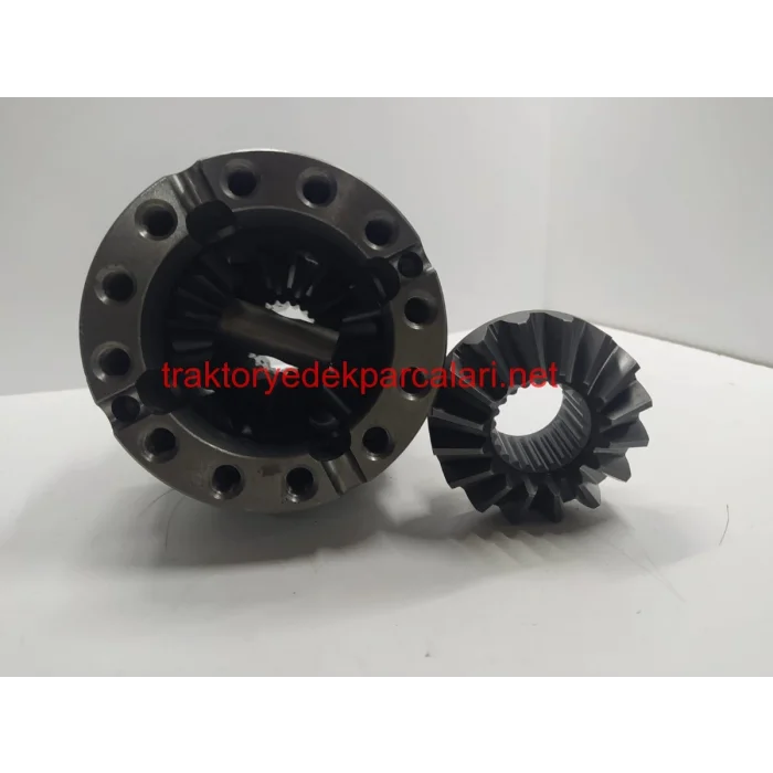 DİFERANSİYEL KOMPLESİ HATTAT