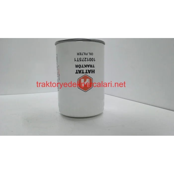 FİLTRE ELEMANI 1001275T1