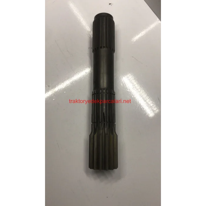 GÜNEŞ DİŞLİ MİLİ HATTAT