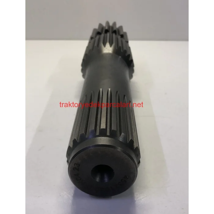 GÜNEŞ MİLİ DİŞLİ HATTAT