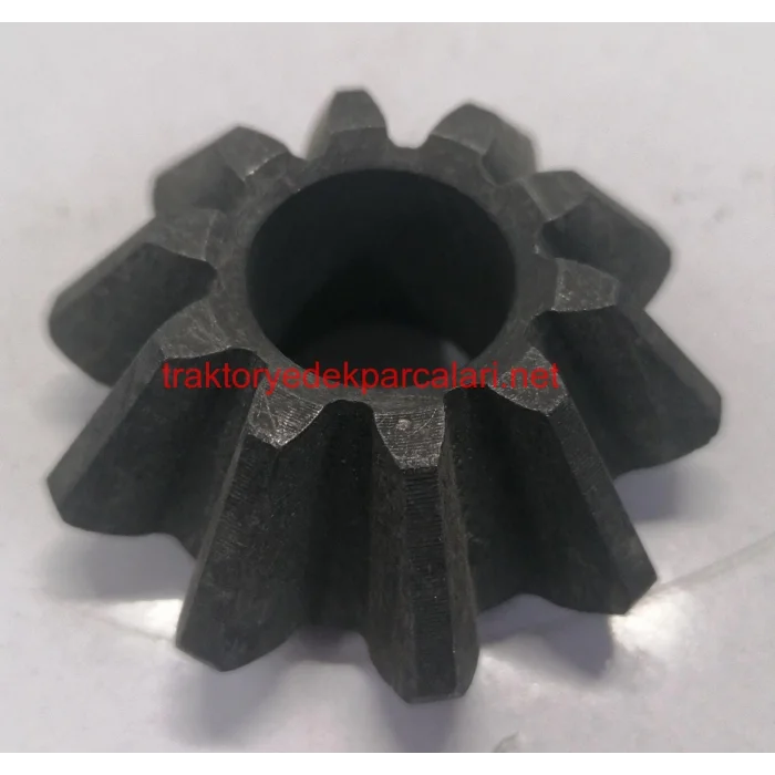 İSTAVROZ DİŞLİSİ HATTAT