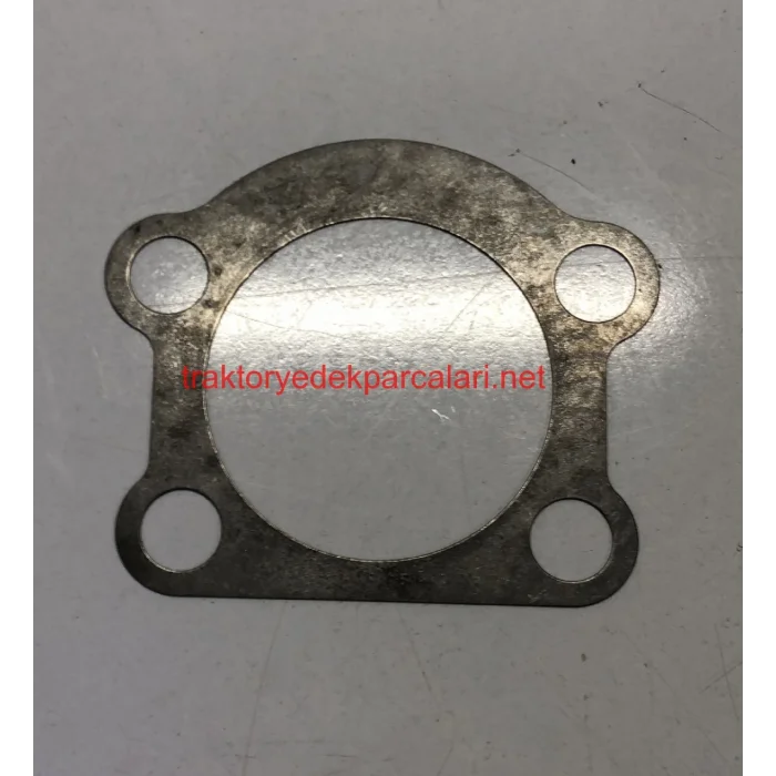 KİNG PİN ŞİMİ HATTAT