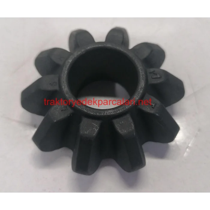 KONİK DİŞLİ HATTAT