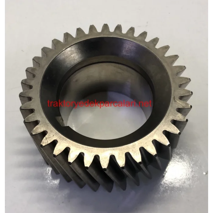 KRANK DİŞLİSİ HATTAT