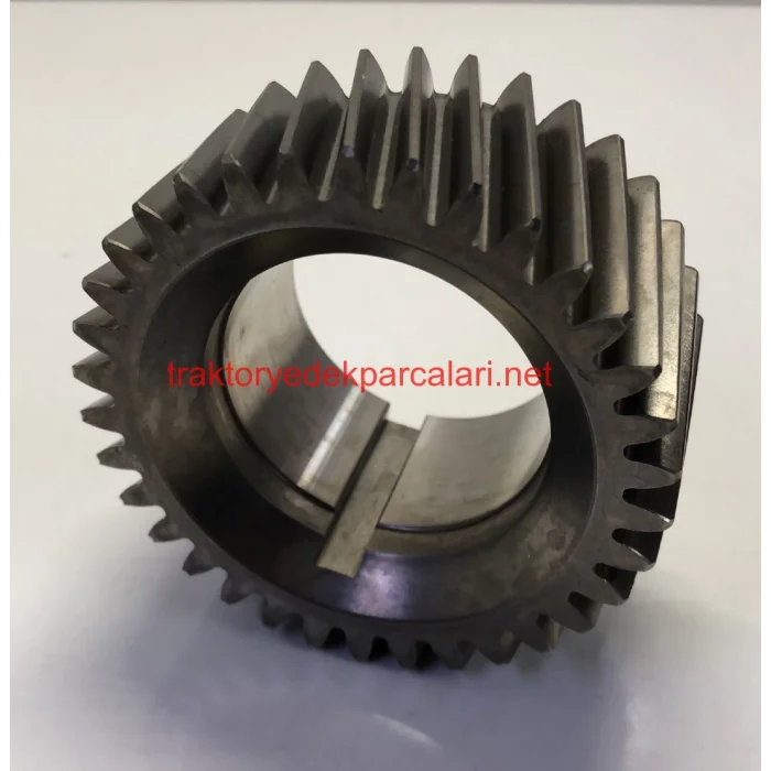 KRANK DİŞLİSİ HATTAT