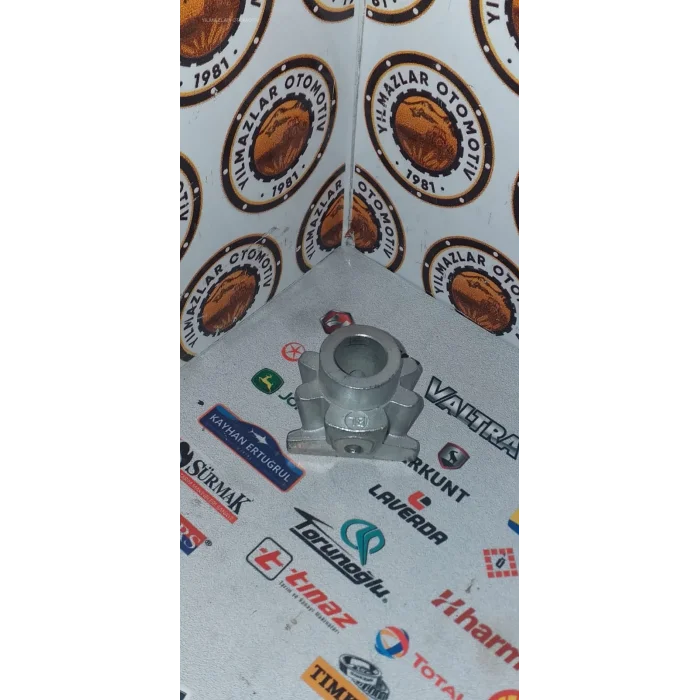 KÜÇÜK ARMUT DİŞLİ KÜÇÜK