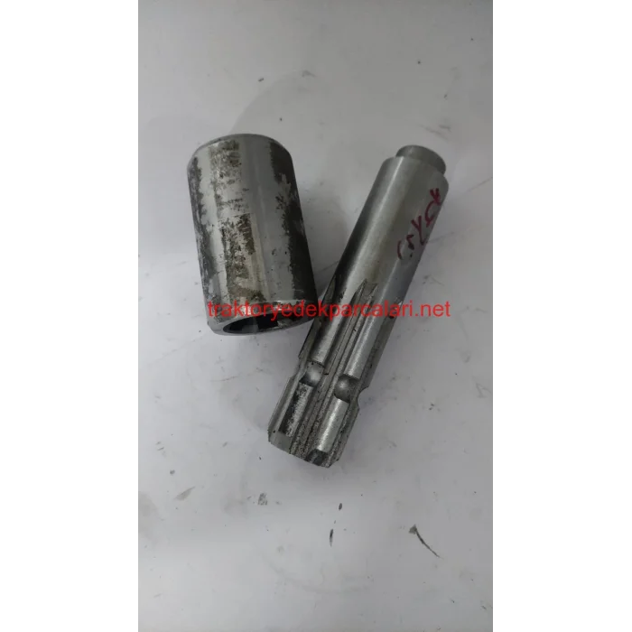 KUYRUK MİLİ - ERKEK - DİŞİ