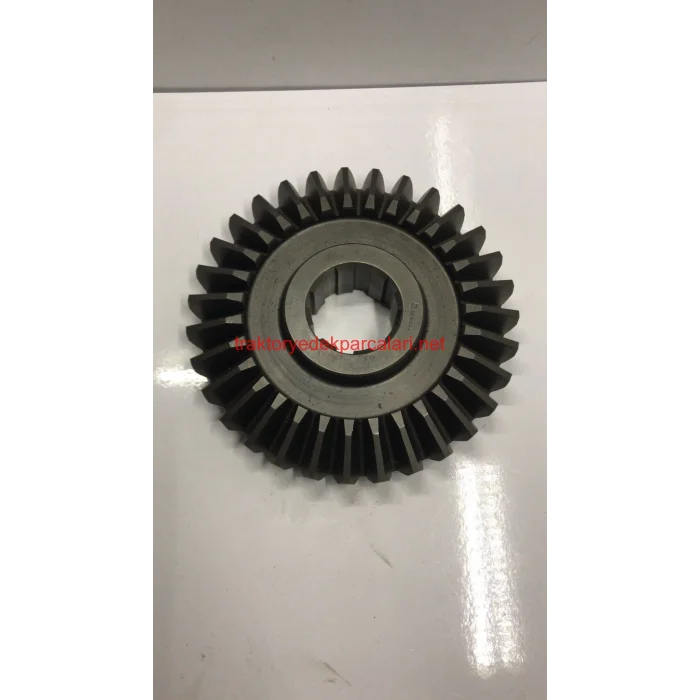 L ŞANZUMAN AYNA DİŞLİ (31 DİŞ)