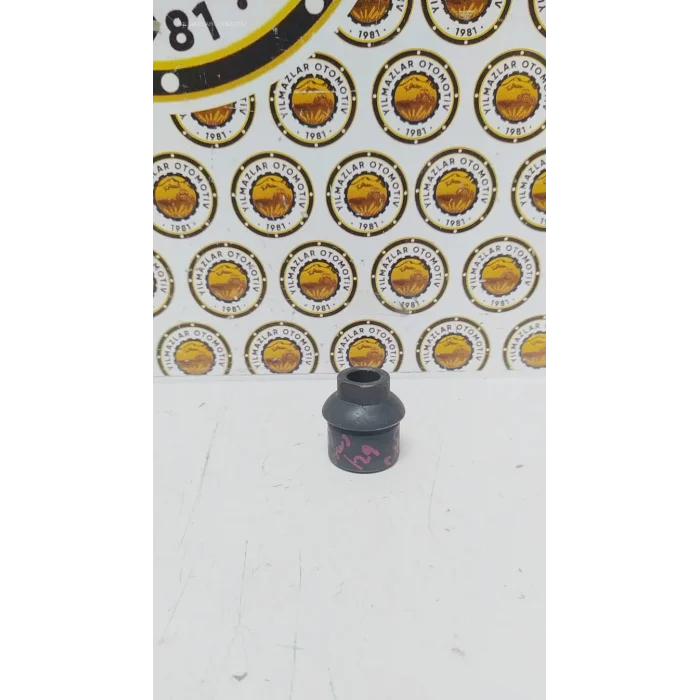 MASTAR ROTU DANA GÖZÜNE TAKILAN GÖBEĞİ -TC