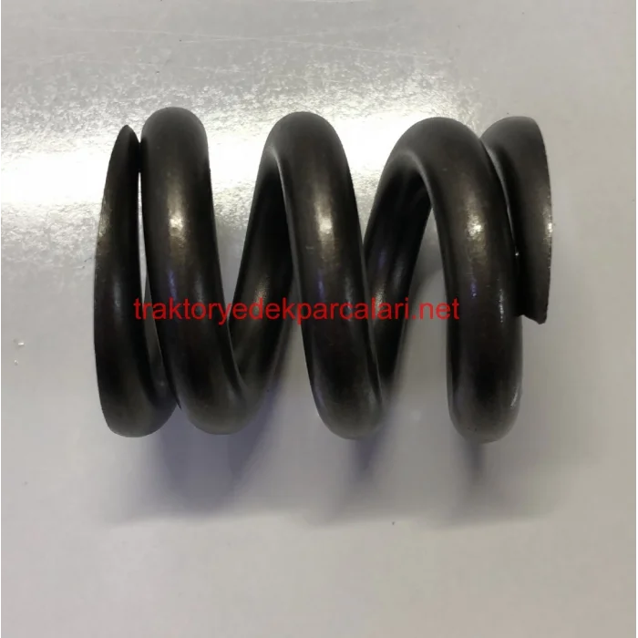 REAKSİYON MESNET YAYI HATTAT