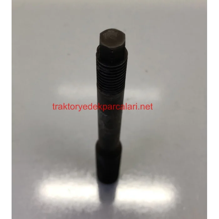 ROD VİTES KOLU HATTAT