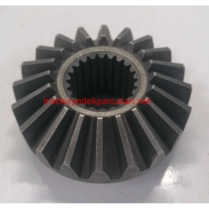 SAĞ İSTAVROZ DİŞLİSİ BÜYÜK HATTAT