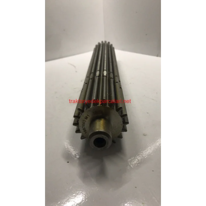 ŞANZUMAN ANA MİLİ (240) HATTAT