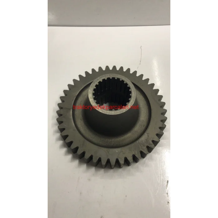 ŞANZUMAN DİŞLİSİ (266G-285G) HATTAT