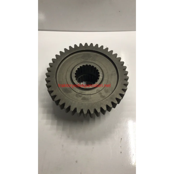 ŞANZUMAN DİŞLİSİ (266G-285G) HATTAT