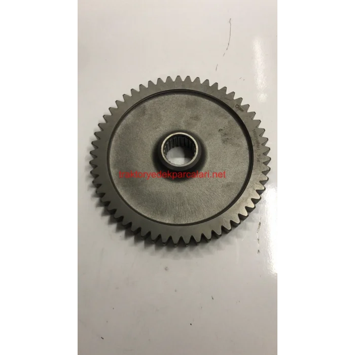 ŞANZUMAN DİŞLİSİ HATTAT