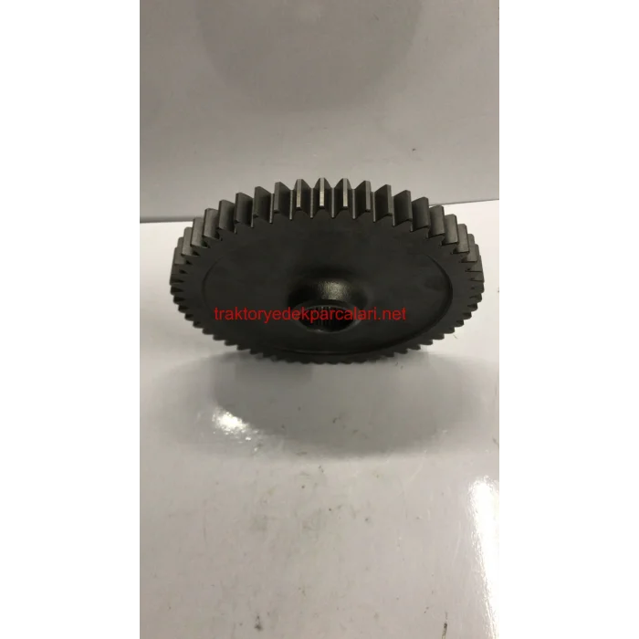 ŞANZUMAN DİŞLİSİ HATTAT