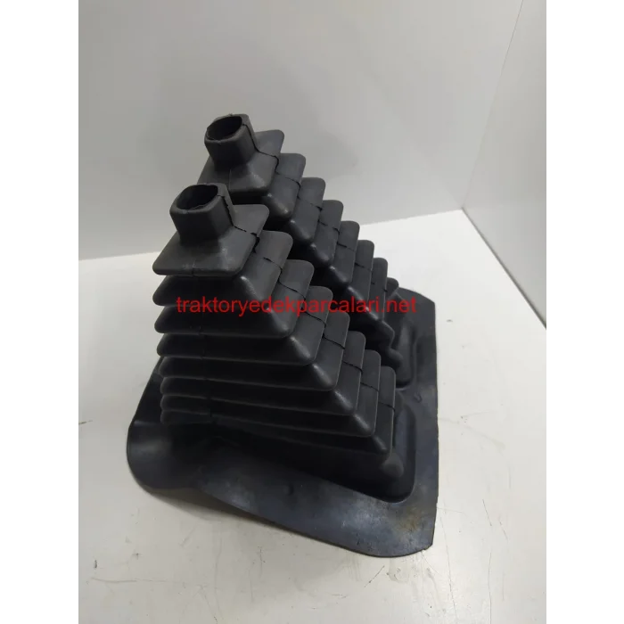 VİTES KÖRÜĞÜ HATTAT