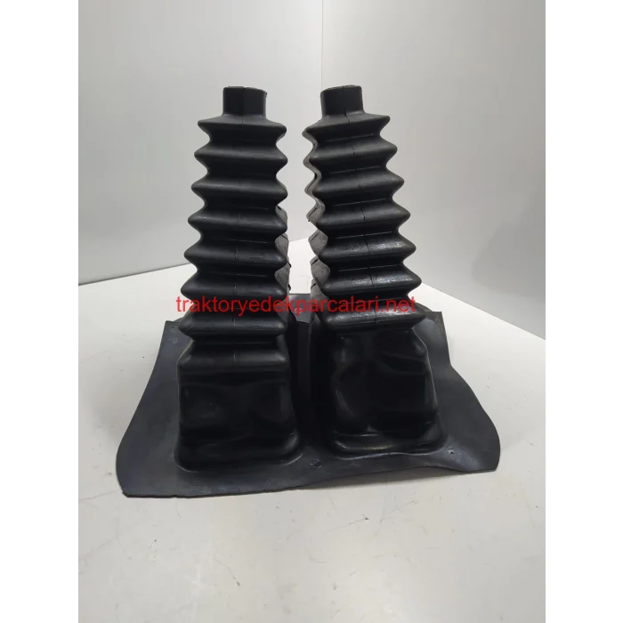 VİTES KÖRÜĞÜ HATTAT