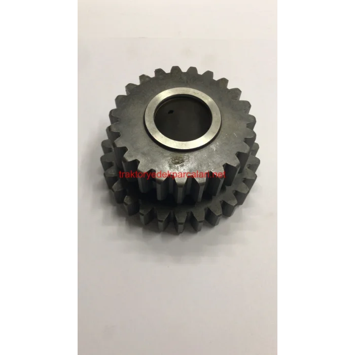 YAVRU ŞANZIMAN DİŞLİSİ UTB