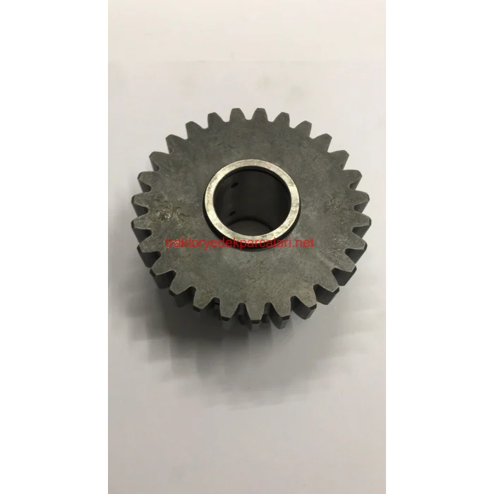 YAVRU ŞANZIMAN DİŞLİSİ UTB