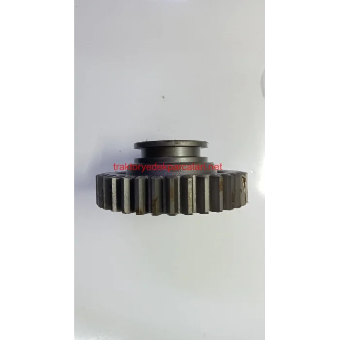 YAVRU ŞANZUMAN DİŞLİSİ ÜNİVERSAL