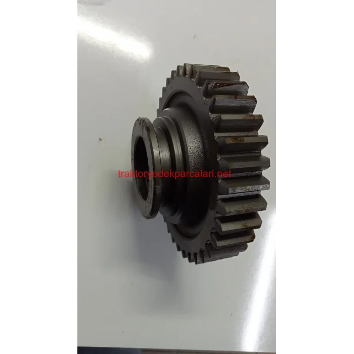 YAVRU ŞANZUMAN DİŞLİSİ ÜNİVERSAL