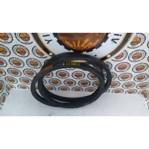 17 X 2025 V KAYIŞ DÜZ