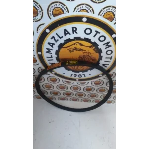 17 X 850 V KAYIŞ DÜZ