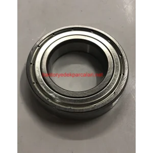 6007 ZZ C3 RULMAN ORS