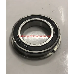 6009 2RS NR RULMAN ORS