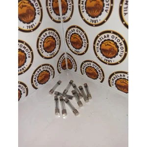 CAM SİGORTA ( 10 ADET )