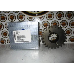 CER GÜNEŞ DİŞLİ MF