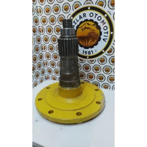 CER ŞAPKALI AKİS AKALAN 630-955