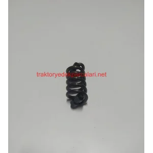 DEBRİYAJ BASKI YAYI