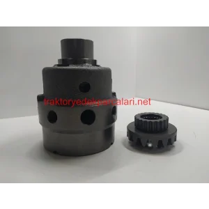 DİFERANSİYEL KOMPLESİ HATTAT