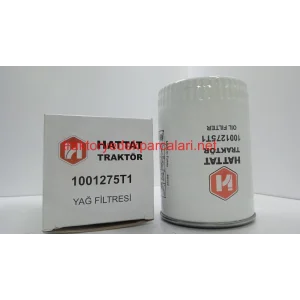FİLTRE ELEMANI 1001275T1