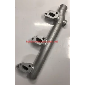 HARARET MÜŞÜR BORUSU (SONALİKA) BAŞAK