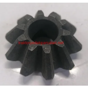 İSTAVROZ DİŞLİSİ HATTAT