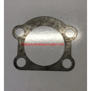 KİNG PİN ŞİMİ HATTAT