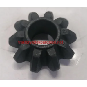 KONİK DİŞLİ HATTAT