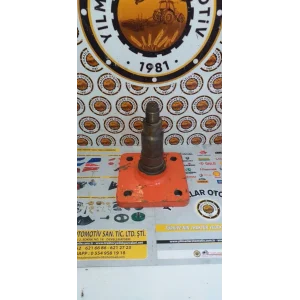 KÜÇÜK AKS ÇOLAK AKS