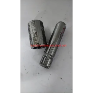 KUYRUK MİLİ - ERKEK - DİŞİ