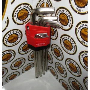 LT/900 UZUN ALLEN TAKIMI TOP BAŞLI