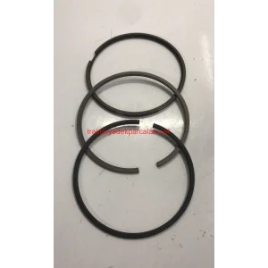 MOTOR SEKMANI 101.05 MM 3 KANAL (285) GOETZE MASSEY FERGUSON