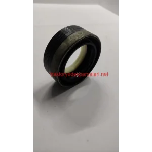 ÖN AKS PORYA KEÇESİ