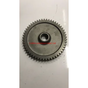 ŞANZUMAN DİŞLİSİ HATTAT