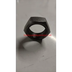 TAMBUR UZUN MIL SOMUNU (25 - MM)